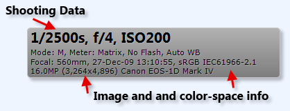 EXIF Metadata