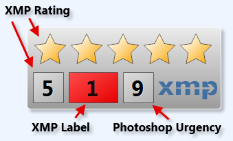 XMP Metadata